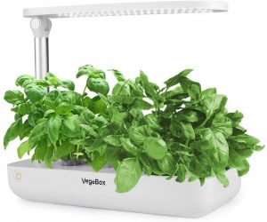 Hydroponics Growing System Kitchen Garden Last-minute Christmas Gifts