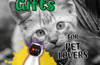 Pet Gadget Gift Ideas for Pet Lovers - Automatic Cat Laser Toy